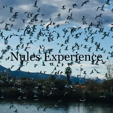 Nules Experience شقة Mascarell