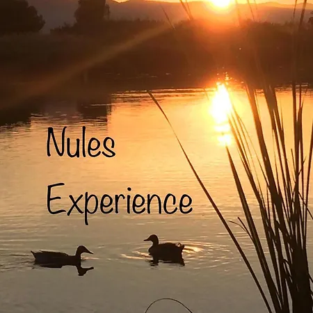 شقة Nules Experience *